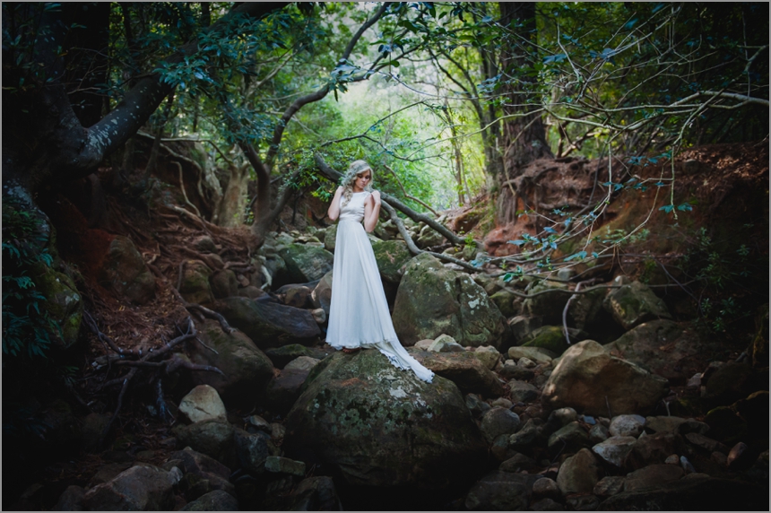 Cape-Town-wedding-Photographer-Lauren-Kriedemann-owl-forest-magical012