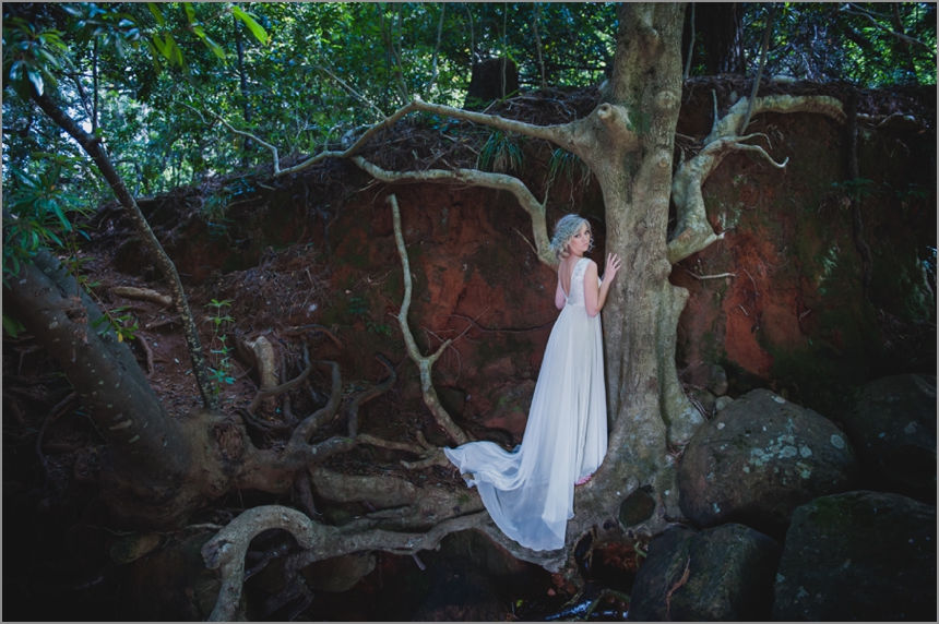 Cape-Town-wedding-Photographer-Lauren-Kriedemann-owl-forest-magical016