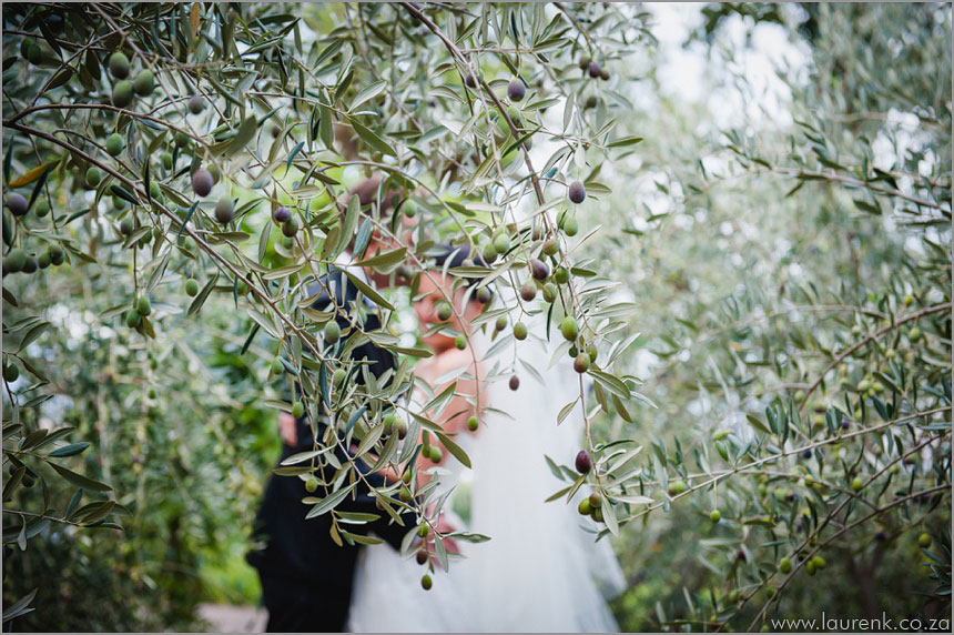 Cape-Town-wedding-Photographer-Lauren-Kriedemann-Riebeek-Kasteel-cafe-felix-EC069