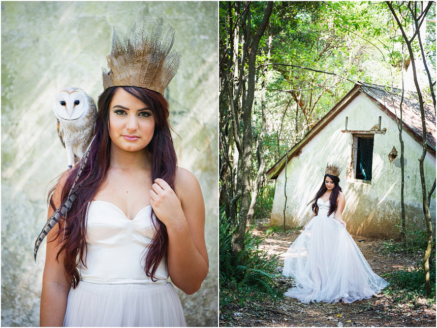 Cape Town Photographer Lauren Kriedemann Forest Owl001